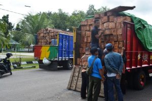 TNI kayu