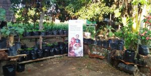 Kebun Keluarga Kebun Keluarga