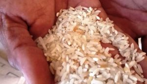 Rastra Butir Kuning 2