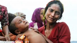 Rohingya 1