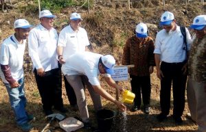 IISBUD dan LIPI Bibit Jati