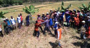 Mata Rame Lopok 2 Mata Rame Lopok 2