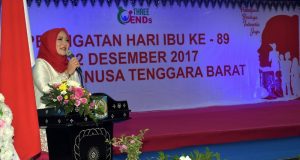 hj erica hari ibu