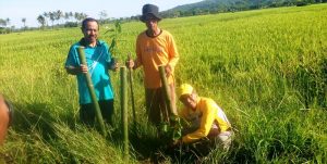 AMNT Tanam Pohon 1 AMNT Tanam Pohon 1