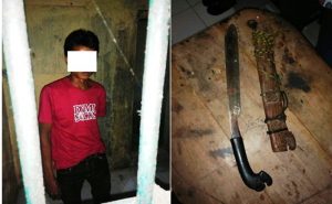 Pelaku Gila