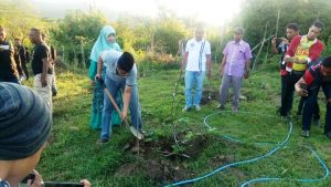 Doktor Zul Tanam Zaitun