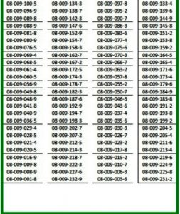SMAN 1 PLAMPANG LULUS 2222