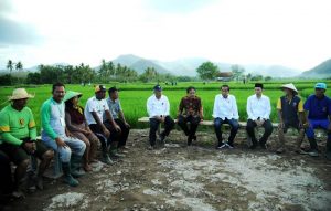Jokowi Moyo Hulu Jokowi Moyo Hulu