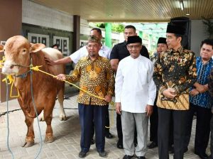 Jokowi Bantu Sapi