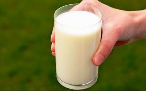 susu gelas
