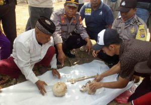 Tengkorak