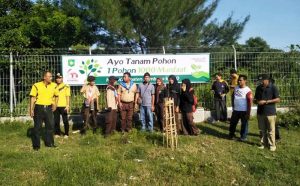 tanam pohon tanam pohon