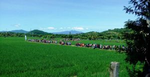 Pesta Ponan 2