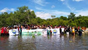 UNSA Mangrove