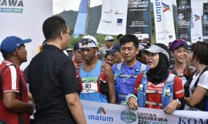 Gubernur Pelari