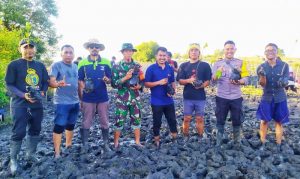 KKN UTS Mangrove