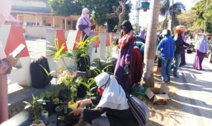 Bibit Gratis