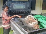 Curi Mesin di tambak