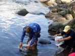 DKP Tebar Bibit Ikan