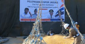 Eksport Jagung 2 Eksport Jagung 2