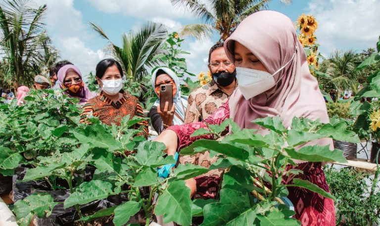Meningkatkan Ketahanan Pangan Komunitas: Diversifikasi Tanaman sebagai Solusi
