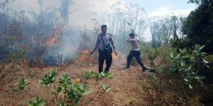 Hutan Tambora Terbakar