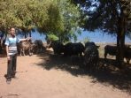 IMG-20210914-WA0040