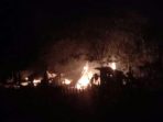 IMG-20220218-WA0006