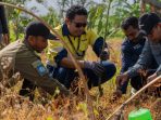 IMG-20250701-WA0064