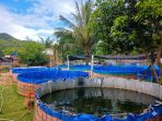 IMG-20260330-WA0118