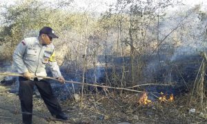 Kabakaran Hutan 22 Kabakaran Hutan 22