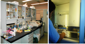 Lab STP