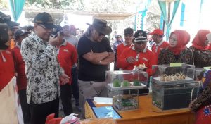 Lomba Masak Ikan