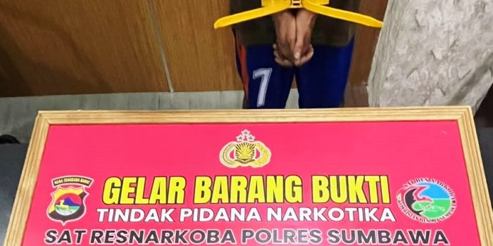 Narkoba Plampang
