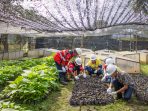 Nursery Community