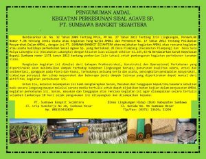 Pengumuman Amdal Sesal