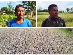 Petani Gagal Panen