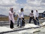 Pjs Bupati Produksi Garam