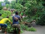Polisi Tebang Pohon Polisi Tebang Pohon