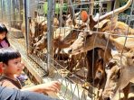 Rusa Makan