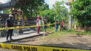 Sabung Ayam Sabung Ayam