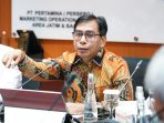 Sambirang Ahmadi