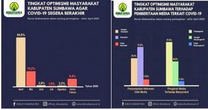 Survey IISBUD