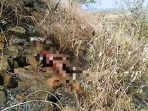 Tewas Terbakar