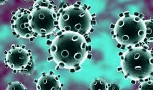 Virus dalam Islam