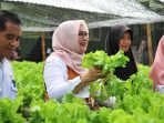 Wabup dan Tanaman Hidroponik