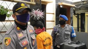 bebas Curi Lagi