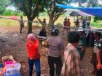 sabung ayam